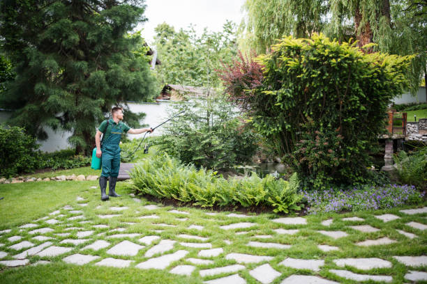 Best Pest Removal Services  in Half Moon, NC