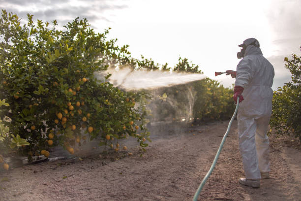 Pest Prevention Services in Half Moon, NC
