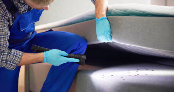 Best Bed Bug Extermination  in Half Moon, NC